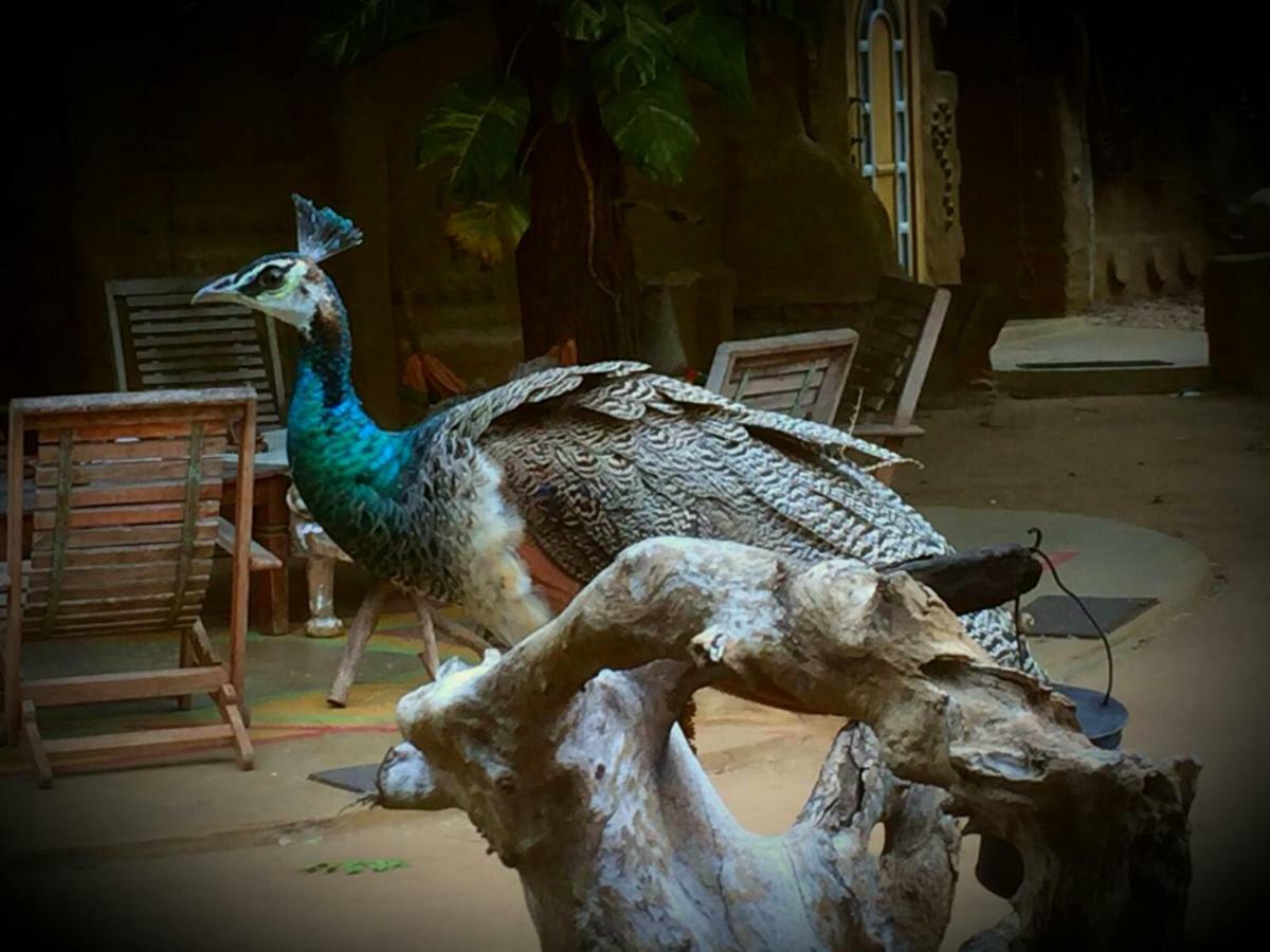 Humbhaha Jungle Yala Nature Eco Resort Катарагама Экстерьер фото